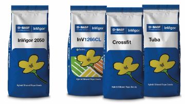 odmiany-nasion-invigor-basf-PL